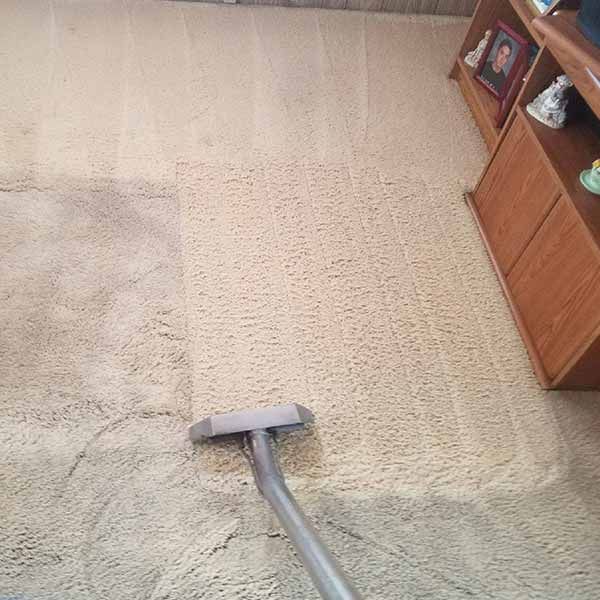 Vail Carpet Cleaning Results