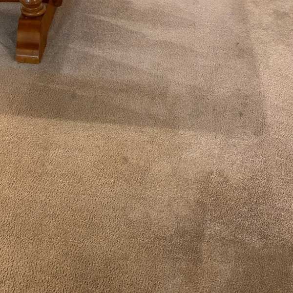 Affordable Carpet Cleaning Results
