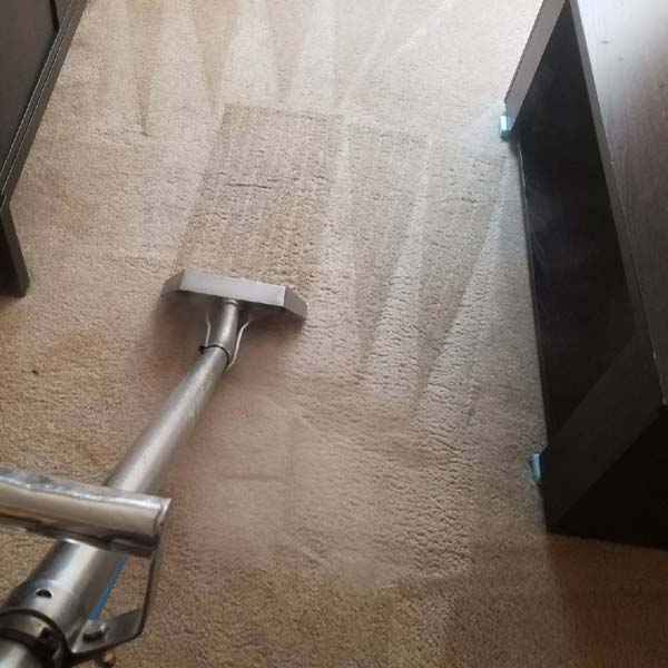 Carpet Cleaning Results