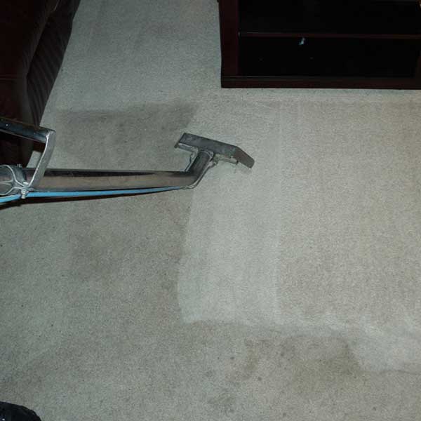 Carpet Cleaning Results