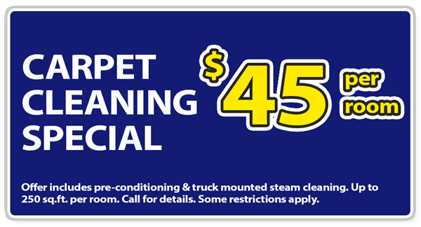 Regal Carpet Cleaning Special